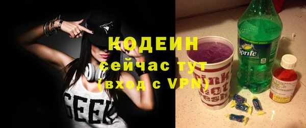 ГАЛЛЮЦИНОГЕННЫЕ ГРИБЫ Корсаков