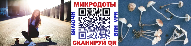 Псилоцибиновые грибы Psilocybe  что такое наркотик  Ивдель 